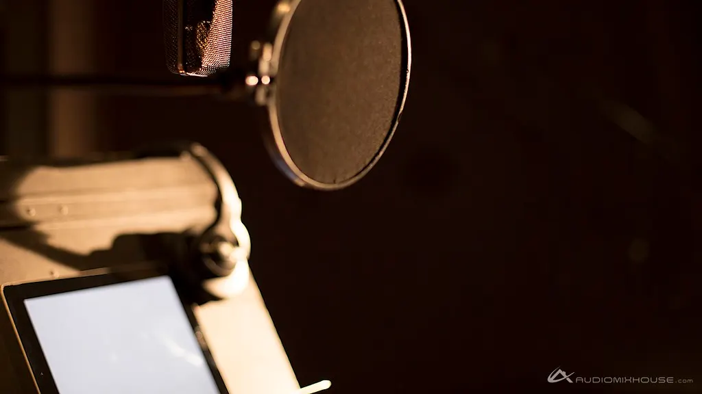 A studio microphone with a pop filter in a recording booth